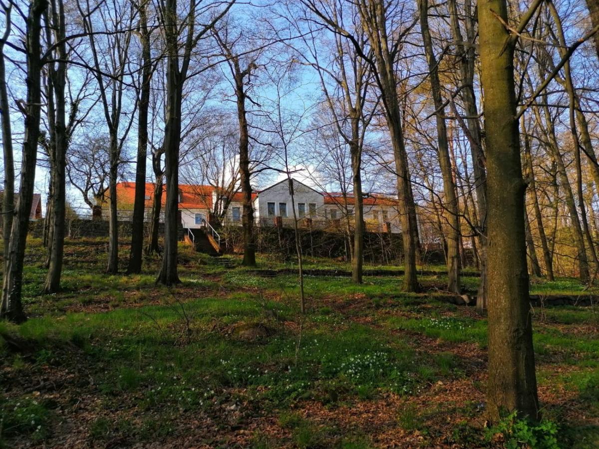 Hotel Kreuzbergbaude Beim Berzdorfer See Mit Wohlfuehl Sauna Markersdorf Luaran gambar